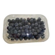 MYRTILLE BARQUETTE 250G