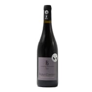 Saumur Champigny Domaine des Hauts de Sanziers 13% Vol. 75 cl