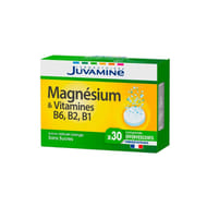 Juvamine magnésium + vitamines B1 - B2 - B6 30 comprimés effervescents