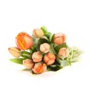 Bouquet de 10 tulipes orange promotion