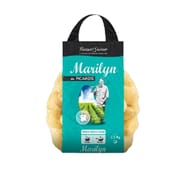 Pomme de terre chair femme filet 2.5 kg