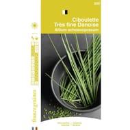 France graines ciboulette fine danoise