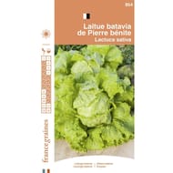 France graines laitue batavia pierre bénite