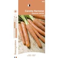 France graines carotte nantaise améliorée 3