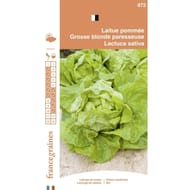 Francegraines Laitue pommée Blonde paresseuse