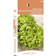 France graines laitue feuille chêne blonde graines noires