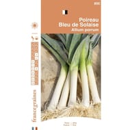 France graines poireau bleu de solaise
