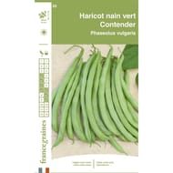 Francegraines haricot contender nain mangetout