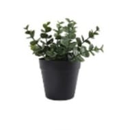 Buis - Dia 7.5cm