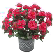 Azalées en pot ciment éthnique rose