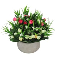 Crocus en pot ciment (rose/crème)