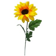 Tournesol jaune artificiel