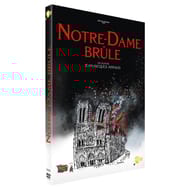 Dvd notre dame brûle
