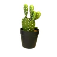 Cactus artificielle haut - Dia 7.5cm