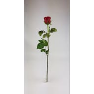 1 rose 60 cm bouton 5 cm coloris assortis