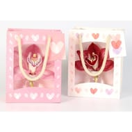 Cymbidium sac 1 fleuron