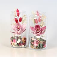 Cymbidium verre 1 fleuron