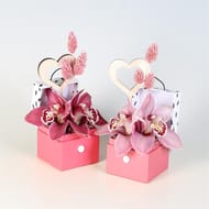 Cymbidium boite 2 fleurons
