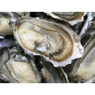 Huitre cancale n°3 bourriche 6 pieces