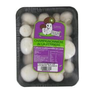 Champignon blanc 500g