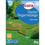 Cora gazon de regarnissage 3kg