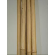 Idéal garden tuteur bambou 1m80  l'unité