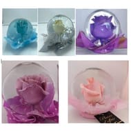 Flower Globes - Boule de verre avec fleur de rose - mix Isabelle