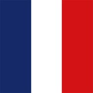 20 serviettes 33x33cm drapeau