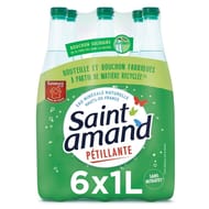 Saint-Amand eau minérale pétillante 6x1l