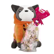 Fizzy chien halloween 55g