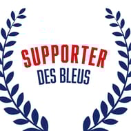 20 serviettes 33x33cm supporter des bleus