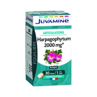 Juvamine pthyto articulations harpagophytum 30 comprimés