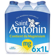 St Antonin eau minérale naturelle 6 x1l