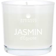 Ambiances devineau verre colore et serigraphie d70 jasmin d'egypte