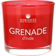 Ambiances devineau verre colore et serigraphie d70 grenade d'inde