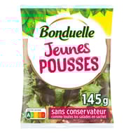 Bonduelle salade jeunes pousses sachet 145g