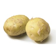 Pomme de terre primeur de noirmoutier le kilo