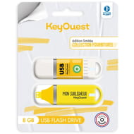 Keyouest bundle clé usb 8go rdc24 colle surligneur KO056547