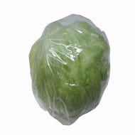 Laitue iceberg