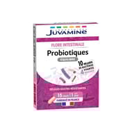 Juvamine probiotiques équilibre 4 souches digestion 15gélules 8g