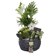 Composition 3PP en panier - emballage fleuriste