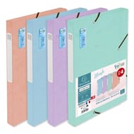 Exacompta lot 4 boite classement D25 carte lustrée blush
