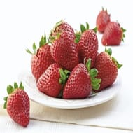Fraise gariguette barquette