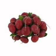 Radis rouge sachet