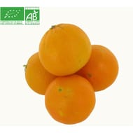 Orange a bouche bio le kilo