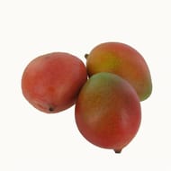 Mangue Kent