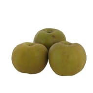 Pomme Canada bio 4 fruits