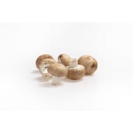 Champignon rose p/c le kilo