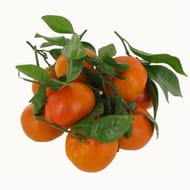 CLEMENTINE FEUILLE BIO 1KG