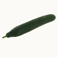 Concombre bio